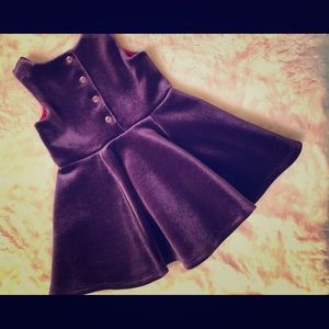 Toddler Girls Purple Velvet Dress by Genuine Kids